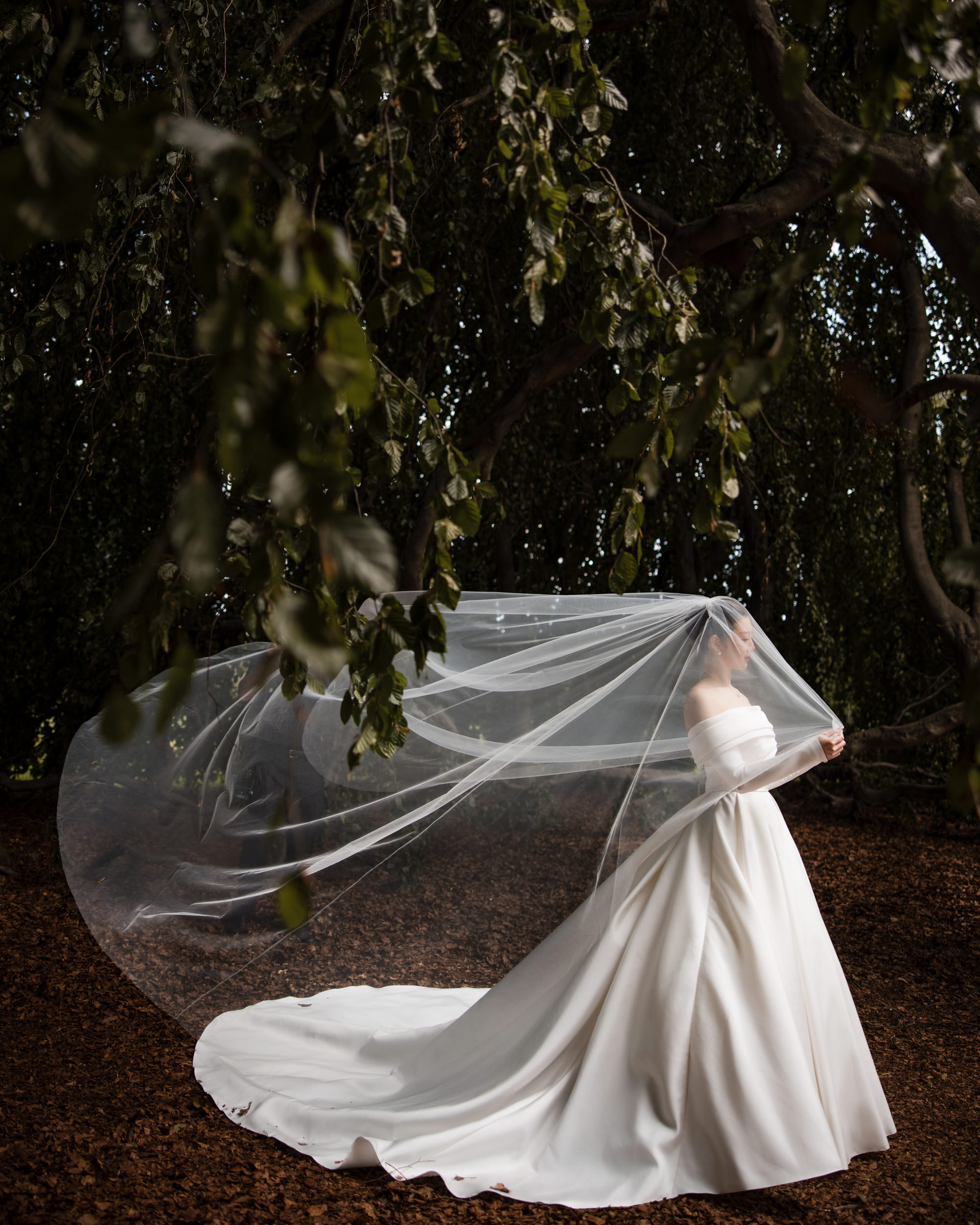 A bride in a long white gown stands outdoors under a tree at her Lyndhurst Mansion wedding, holding a large sheer veil that drapes over her head and shoulders.