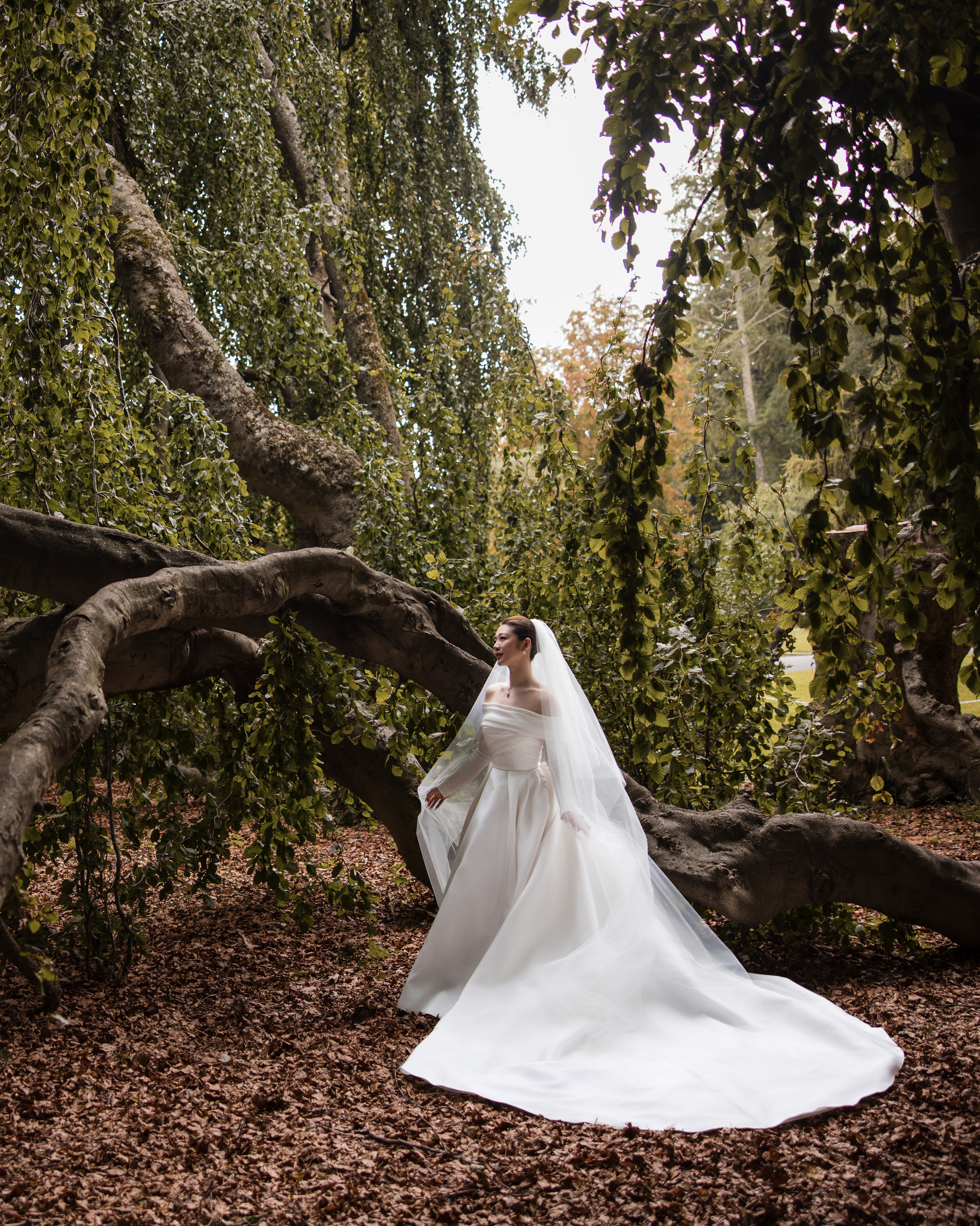 A bride in a white gown and veil stands under a large, sprawling tree with twisted branches and fallen leaves on the ground, capturing the timeless romance of a Lyndhurst Mansion wedding.