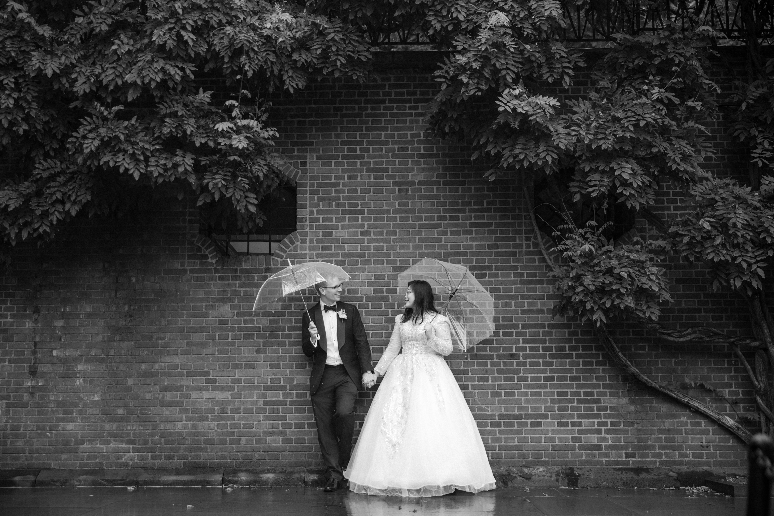 A bride and groom stand holding hands under clear umbrellas, facing each other, in front of a brick wall with leafy vines overhead on a rainy day, capturing the romantic atmosphere of a Conservatory Garden wedding.